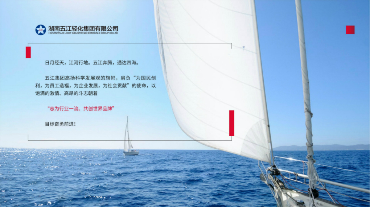 五江轻化集团有限公司企业介绍